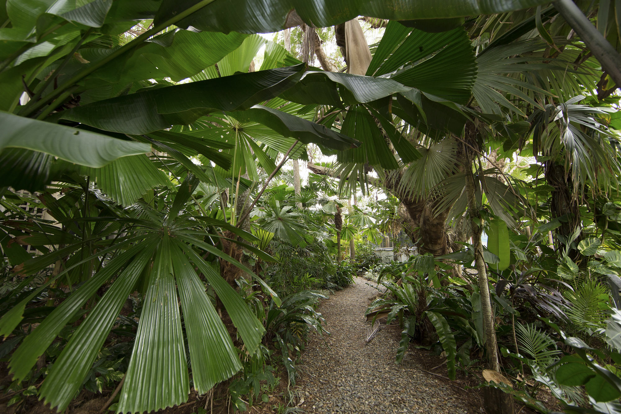 Castaways Resort & Spa On Mission Beach Ngoại thất bức ảnh